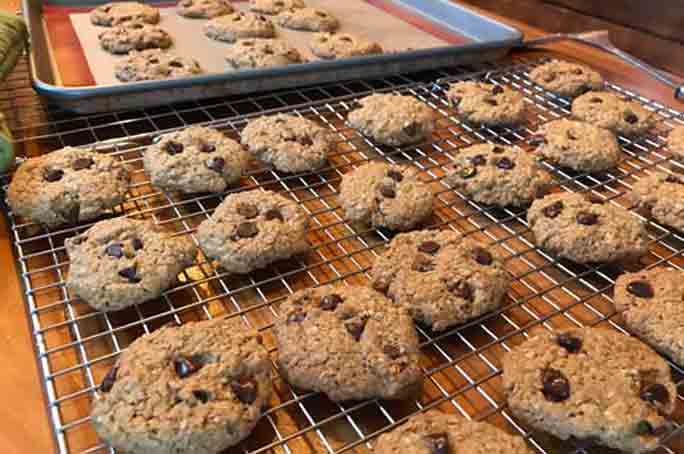 chewy vegan oatmeal chocolate chip cookies feature image web