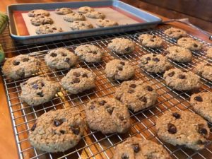 the best vegan chewy oatmeal chocolate chip cookies