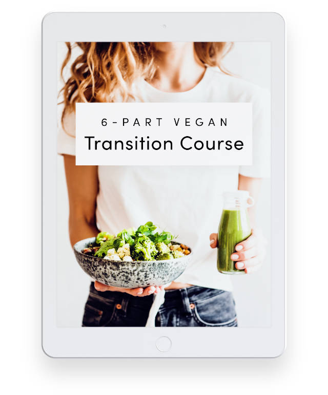 Vegan Transition Course